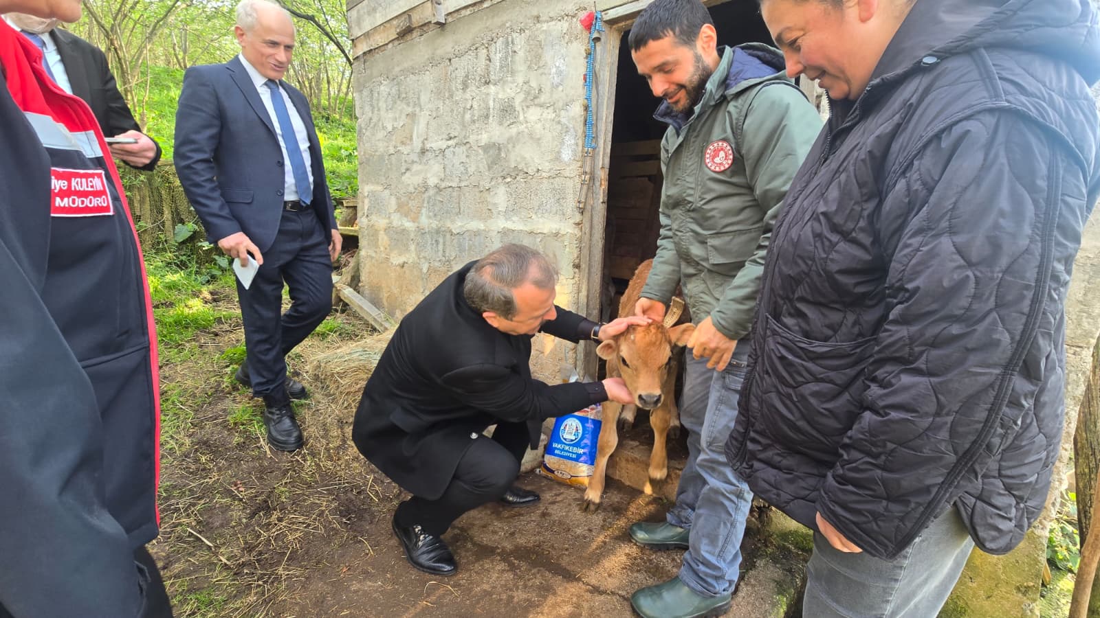 Suni tohumlama projemizin ilk buzağıları doğdu 
